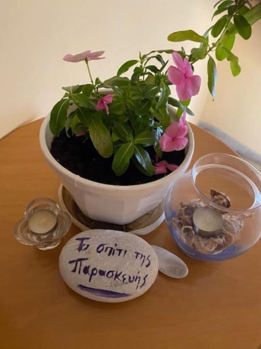 το σπίτι της παρασκευής Appartement